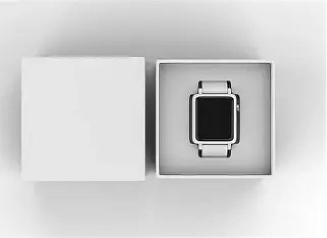 Luxury Watch Boxes